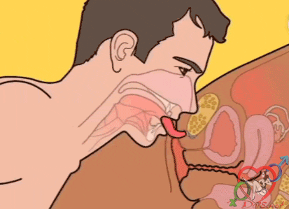 Chơi kiểu nào con gái sướng nhất khám phá và tìm hiểu